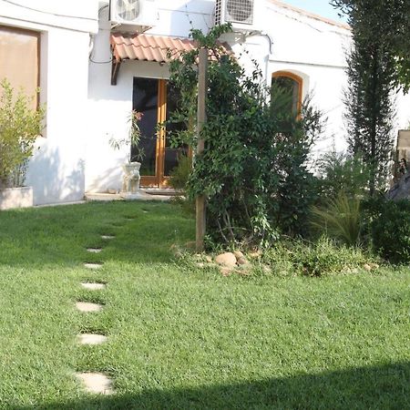 Site Machambreencamargue Vauvert Dış mekan fotoğraf