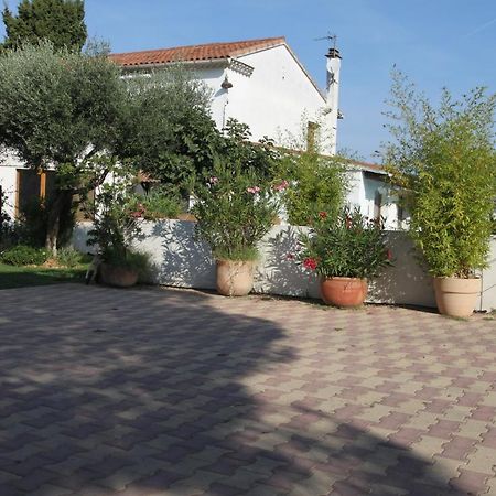 Site Machambreencamargue Vauvert Dış mekan fotoğraf