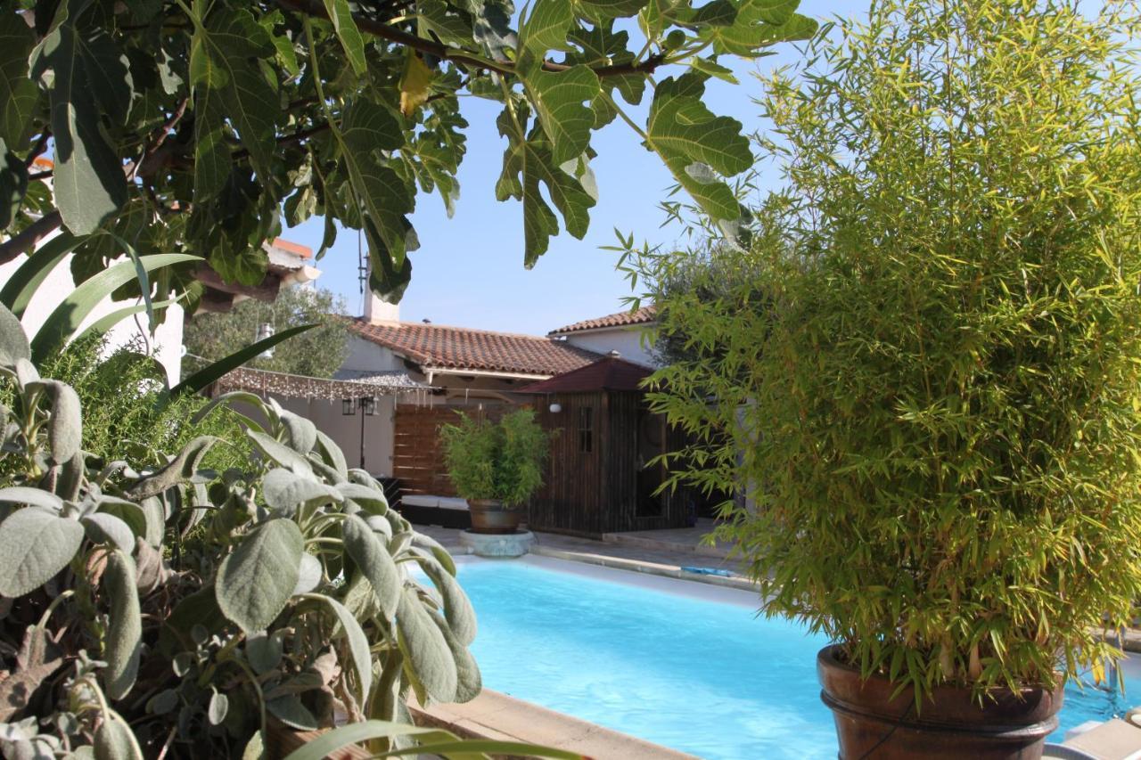 Site Machambreencamargue Vauvert Dış mekan fotoğraf